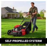 PowerSmart 21-Inch Self-Propelled Gas Lawn Mower