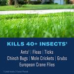 BioAdvanced Complete Insect Killer Granules for Lawns