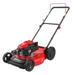 PowerSmart 53.3 cm Gas Push Lawn Mower