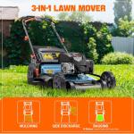 SENIX 22-inch Gas Self-Propelled Lawn Mower
