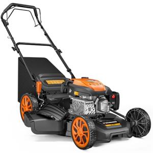 21" Self-Propelled Gas Lawn Mower with Mulching