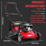 Gas Self-Propelled Lawn Mower with 50L Tank