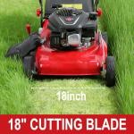 Gas Self-Propelled Lawn Mower with 50L Tank