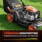 21" Self-Propelled Gas Lawn Mower with Mulching