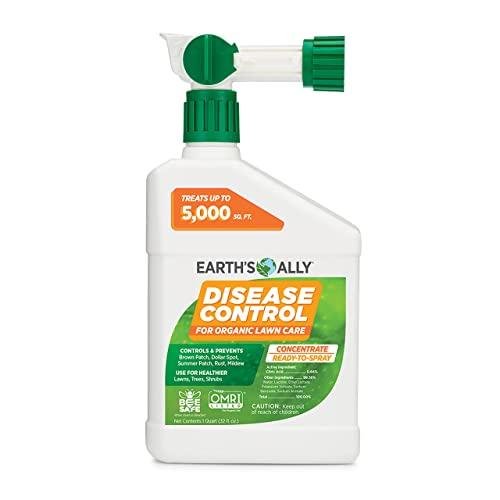 Earth's Ally