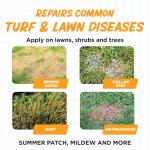 Earth's Ally Natural Lawn Fungicide Spray, 32 oz