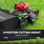 AMERISUN 21-Inch Self-Propelled Gas Lawn Mower