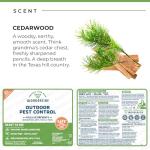 Natural Outdoor Pest Control Spray - 32oz
