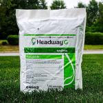 Syngenta Headway G Granular Fungicide Solution
