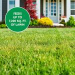 Miracle-Gro Lawn Food Fertilizer for All Grass