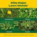 Scotts Turf Builder with Weed Control, 32 fl oz