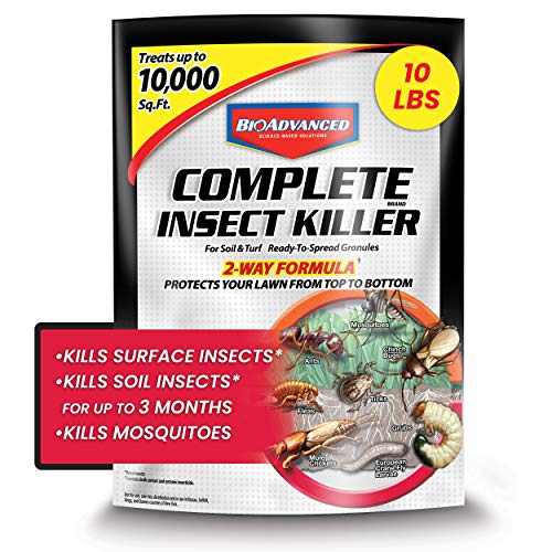 BioAdvanced Insect Killer for Soil and Turf Granules 10lb