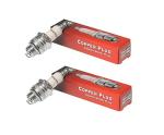 Champion Spark Plug for Craftsman - 2 Pack