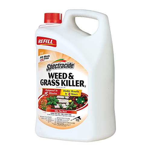 Spectracide Weed & Grass Killer for Driveways and Gardens