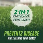 Scotts Turf Builder Lawn Food and Fungicide
