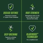 Scotts Turf Builder Lawn Food and Fungicide