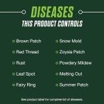 Scotts Turf Builder Lawn Food and Fungicide