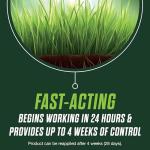 Scotts Turf Builder Lawn Food and Fungicide