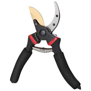 Professional 8" Pruning Shears and Garden Scissors