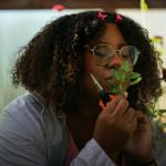 Fiskars Softouch Micro-Tip Pruning Snip - Orange/Black