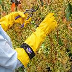 Gorilla Easy Connect Lightweight Tough Pruning Gloves