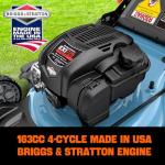 SENIX 22-Inch Self-Propelled Gas Lawn Mower
