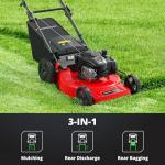 22” Self-Propelled Gas Lawn Mower with Mulching