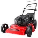 Self-Propelled 22-Inch Gas Lawn Mower with Mulching