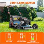 SENIX 22-Inch Self-Propelled Gas Lawn Mower