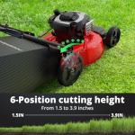 PowerSmart 21-Inch Self-Propelled Gas Lawn Mower