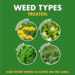 Spectracide Ready-to-Spray Weed and Feed, 32 oz