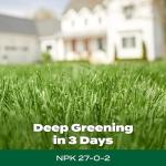 Scotts Green Max Lawn Fertilizer for 5,000 sq. ft