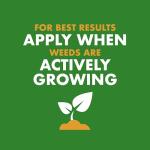 Spectracide Ready-to-Spray Weed and Feed, 32 oz