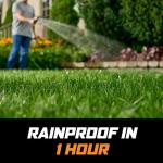 Ortho WeedClear Ready-To-Spray Weed Killer, 32 oz