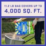 Pennington Full Season Lawn Fertilizer 32-0-5