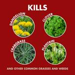 Spectracide Weed and Grass Killer Concentrate - 1 Gallon
