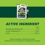 Ortho GroundClear Weed Killer with Comfort Wand, 1 gal