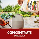 Spectracide Weed and Grass Killer Concentrate - 1 Gallon
