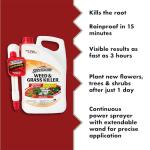 Spectracide Weed and Grass Killer - 1 Pack