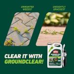 Ortho GroundClear Weed Killer with Comfort Wand, 1 gal