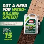Ortho GroundClear Weed Killer with Comfort Wand, 1 gal