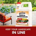 Spectracide Weed and Grass Killer Concentrate - 1 Gallon