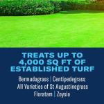 BioAdvanced 3-in-1 Southern Lawn Weed & Feed
