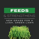 Scotts Turf Builder Triple Action for New Lawns