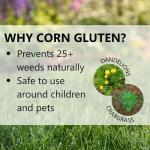 Jonathan Green Corn Gluten Lawn Fertilizer 10-0-2