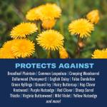 BioAdvanced 3-in-1 Southern Lawn Weed & Feed