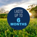 BioAdvanced 3-in-1 Southern Lawn Weed & Feed