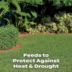 Scotts Turf Builder Southern Lawn Fertilizer, 14.06 lbs