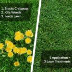 GreenView Fairway Formula Spring Fertilizer & Weed Preventer