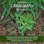GreenView Fairway Formula Spring Fertilizer & Weed Preventer